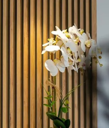 公寓 Merkezde Jakuzili Daire - Ocekhomes Meva 费特希耶